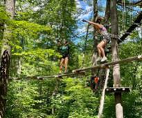 people on a treetop adventure course