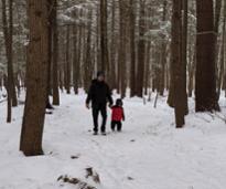 dad and kid hiking in winter in woods