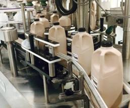 chocolate milk bottles in factory