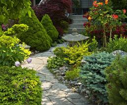 stone walkway with plants