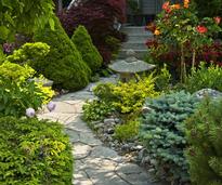 sidewalk and landscaping