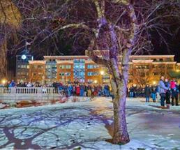 people standing in a park during a winter night