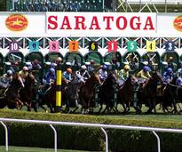horses starting a race at saratoga