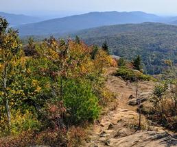fall foliage at summit