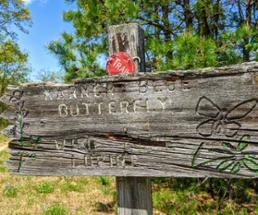 hiking sign with karner blue butterfly