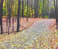 trail in the fall