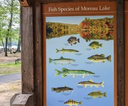 sign with different kinds of fish species in moreau lake