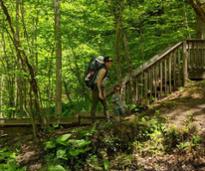 woman with infant and toddler on hiking trail