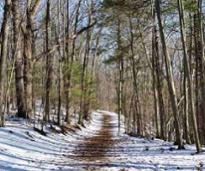 snowy hiking trail