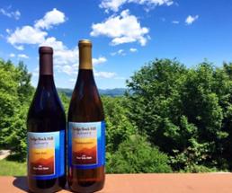 two wine bottles outdoors