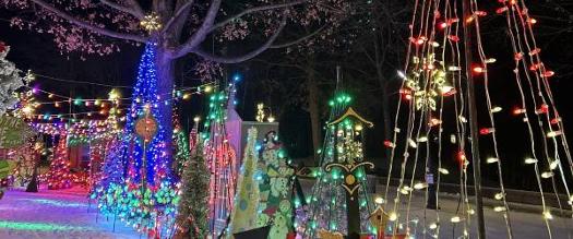 holiday lights in shepard park