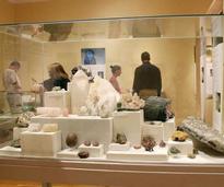 museum rocks display