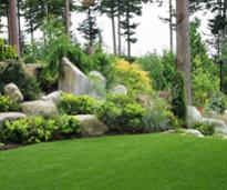 landscaped lawn with plants and rocks