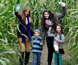 people in front of a corn maze
