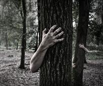 zombie hands poking around trees