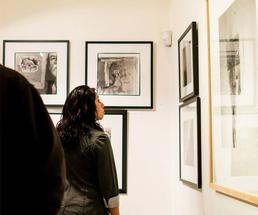 woman admiring an exhibit
