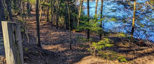 trail with a lake nearby