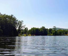 lake, trees, water