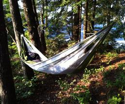 hammock at a primitive camping site