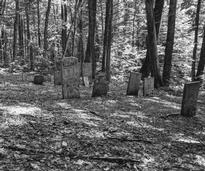 black and white photo of cemetery in the woods