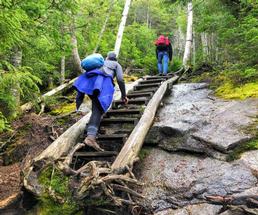two people hiking up stairs in woods