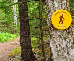 trail sign on tree for meade/beckman mountain