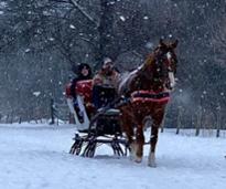 horse drawn carriage ride while it's snowing