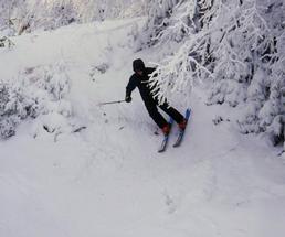 person downhill skiing
