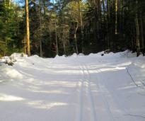 trail in snow