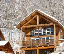 cabin in the winter