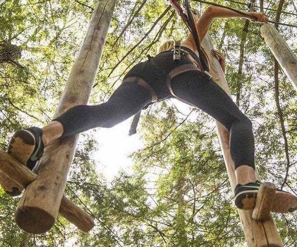 view looking up of woman on treetop course