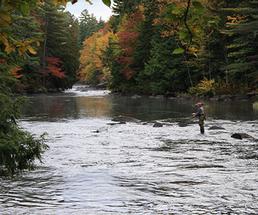 Find The Best Fishing Spots In The Adirondacks