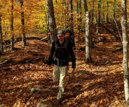 dad with toddler on back hike in fall