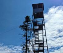 top of a firetower