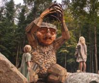 troll at the wild center