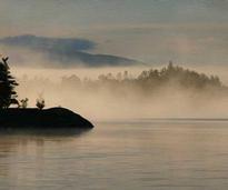 mist on a lake