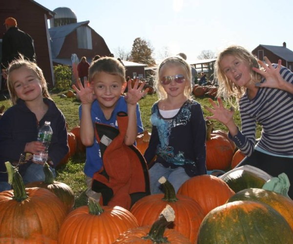kids near pumpkins