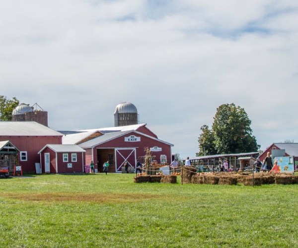 red farm buildings and hay play area