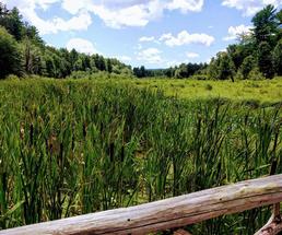 rush pond trail system in queensbury