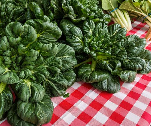 greens on table