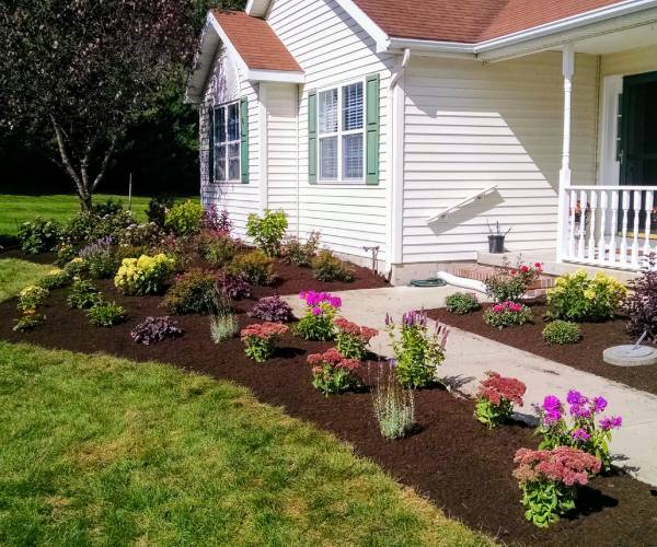 garden in front of house