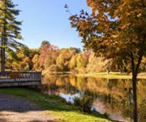 crandall pond in october