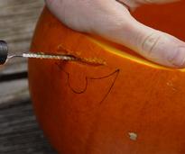 close up of a hand carving a pumpkin