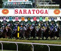 race horses coming out of the Saratoga starting gate.
