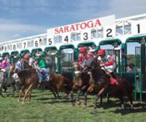horses leaving the starting gate