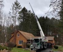 truck, crane, and crew removing a tree from a home property