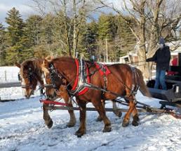 horse-drawn sleigh