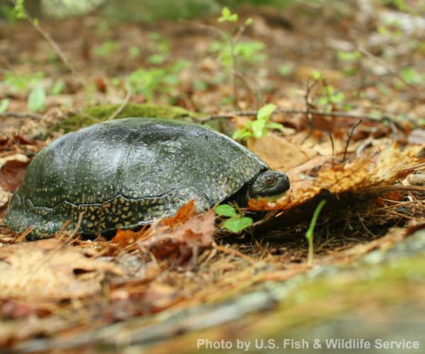 Explore Hiking Trails and Nature Preserves in Saratoga Springs & Nearby