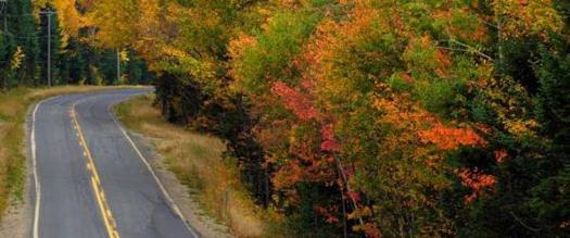 a winding road through fall foliage