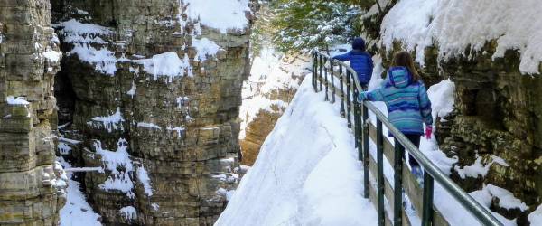 the back of kids walking by a gorge in winter